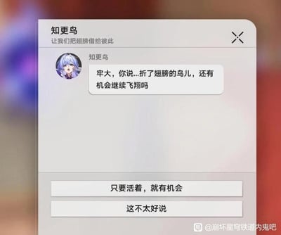 这是一张模仿《崩坏：星穹铁道》游戏内对话选择界面的自制梗图，图中游戏角色知更鸟以“折了翅膀的鸟儿”隐喻自身困境，称呼对方为“牢大”（网络对科比·布莱恩特的梗称），询问是否还有飞翔的机会，下方给出“只要活着，就有机会”和“这不太好说”两个回答选项。
双关与梗点说明：“折了翅膀的鸟儿”既指字面的鸟类困境，也隐喻知更鸟可能遭遇的挫折；“牢大”是对科比的梗称，科比以篮球场上的“飞翔”（扣篮等动作）闻名，二者结合让这个提问有了双重趣味，既贴合角色设定又玩了现实梗。