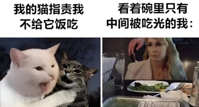 图片为左右对比的双栏梗图。左侧是两只猫的合照，一只白猫张着嘴似乎在“指责”身旁的灰猫，上方配文“我的猫指责我不给它饭吃”；右侧是一位女性坐在餐桌前，面前的盘子里食物几乎被吃光，仅剩边缘一点，上方配文“看着碗里只有中间被吃光的我：”。通过猫咪的“理直气壮”与人类面对空碗的无奈形成幽默对比，暗讽宠物主人可能也面临食物被“清空”的窘境，引发养宠人士共鸣。