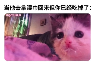 这是一张贴合日常场景的宠物梗图，上方配有中文文字“当他去拿湿巾回来但你已经吃掉了：”，图中是一只真实的小奶猫，嘴角挂着口水，鼻子还沾有食物痕迹，睁着圆溜溜的大眼睛，神态既心虚又无辜，完美还原了生活里那种没等对方准备好清洁工具，就急急忙忙把食物吃完，事后心虚又有点小满足的状态，画面生动有趣，让人觉得可爱又好笑，没有双关、谐音梗等特殊表意，就是用宠物的神态对应生活化的小场景。