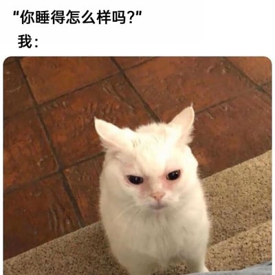 这是一张用于表达睡眠不足状态的图文表情包，上方文字分为两部分，先是提问者的问题“你睡得怎么样吗？”，接着是“我：”引出下方的白色猫咪。这只猫咪双眼无神，眼下皮肤泛红，眉头紧皱，整体表情憔悴又带着烦躁感，完美还原了睡眠质量极差后的糟糕状态，用生动的动物表情直观传递出没睡好的疲惫与烦躁，能够引发有过睡眠不足经历的人的强烈共鸣，适合在日常聊天中回应他人关于睡眠情况的询问。