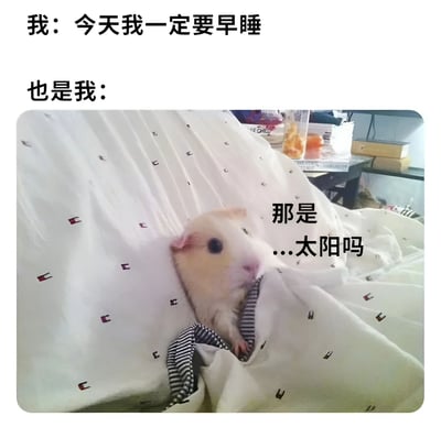 这是一张幽默自嘲类梗图，通过文字与图片的结合展现了人们常有的生活矛盾：嘴上说着要早睡，结果却熬夜到天亮。图片上方文字写着"我：今天我一定要早睡"，下方紧接着"也是我："并配上一张仓鼠从被窝中探出头的照片，照片中的仓鼠似乎带着疑惑的表情，旁边配文"那是...太阳吗"，形象地表现了熬夜到清晨看到日出的情景。这种强烈的反差产生了幽默效果，反映了现代人普遍的熬夜现象和自我调侃的心态。