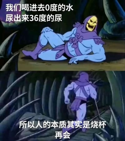 这是一张由经典美国动画《宇宙的巨人希曼》中的反派角色骷髅王的动画截图改编而成的上下分栏式梗图。上半部分画面中，骷髅王侧躺在地面上，脸上露出戏谑的坏笑，配文“我们喝进去0度的水 尿出来36度的尿”，以生活化的生理现象作为引子；下半部分画面中，骷髅王背对着镜头快速跑开，配文“所以人的本质其实是烧杯 再会”，将人体对水的升温过程类比为烧杯的加热功能，用完全不符合常规逻辑的荒诞结论制造出冷笑话的搞笑效果，整体风格戏谑又无厘头，是典型的网络搞笑迷因。