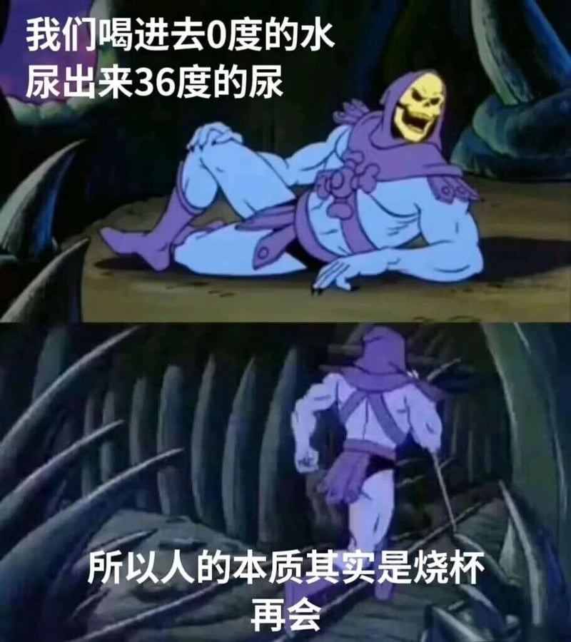 骷髅王