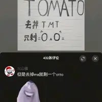 这是一张竖屏格式的社交媒体评论区截图，上方发布的内容是一段文字游戏：“TOMATO 去掉TMT 只剩○,○=”，下方的评论区中，有用户玩了另一种拆字思路，评论道“但是去掉ma就剩一个oto”，并搭配了一只耳朵耷拉、神情低落的灰色卡通猫猫表情包，通过不同的拆字方式制造出搞笑的反差，属于网友间的文字玩梗互动内容。
