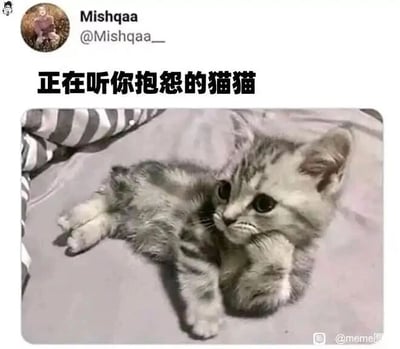 暂无描述