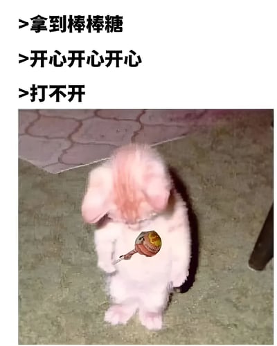 图片上方有三行文字：“>拿到棒棒糖”、“>开心开心开心”、“>打不开”。下方是一只白色绒毛小兔子，有着粉色的耳朵，正站立着用两只前爪捧着一根圆形棒棒糖，头部微微低下，似乎在专注地尝试打开或舔食棒棒糖。背景是灰色的水泥地面和部分六边形地砖。整个画面通过文字和兔子的动作形成了可爱的反差萌效果，表现了从开心到遇到小挫折的情绪变化。