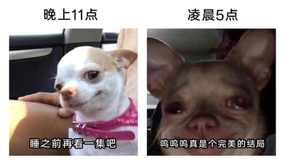 这是一张左右对比的梗图，精准还原了熬夜追剧人的完整心路历程：左侧画面标注“晚上11点”，一只吉娃娃表情带着侥幸和期待，配文“睡之前再看一集吧”，表现出追剧人明明到了睡觉时间却忍不住想多看一集的侥幸心态；右侧画面标注“凌晨5点”，另一只狗狗双眼泛红、满脸泪痕，配文“呜呜呜真是个完美的结局”，展现出追完剧后被剧情深深打动，同时又熬了一整夜的状态。两张图通过时间跨度和狗狗表情的强烈反差，生动调侃了当代人熬夜追剧的普遍行为，极易引发有相同经历人群的共鸣。