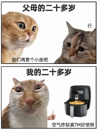 该梗图分为上下两部分，通过猫咪表情包幽默对比两代人二十多岁的生活状态。上半部分标题为“父母的二十多岁”，左侧橘猫瞪大眼睛说“我们再要个小孩吧”，右侧狸花猫淡定回应“行”，展现父母辈二十多岁对家庭扩展的关注；下半部分标题为“我的二十多岁”，一只猫咪惊喜地竖起大拇指，旁边是一台装满薯条的空气炸锅，配文“空气炸锅真TM好使啊”，调侃当代年轻人二十多岁对便捷生活家电的喜爱。