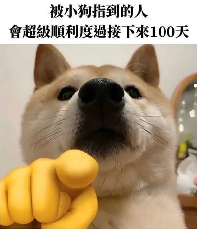 图片上方有文字“被小狗指到的人 會超級順利度過接下來100天”，下方是一只柴犬的特写，它的鼻子和眼睛清晰可见，表情看起来有些好奇。柴犬前方有一只黄色的手套，手套做出了指向观众的手势，整体给人一种温馨、积极的感觉，是一张传递好运祝福的图片。
