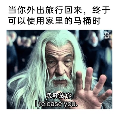 这是一张结合影视截图制作的搞笑生活梗图，顶部配文“当你外出旅行回来，终于可以使用家里的马桶时”，图中是《指环王》里的经典角色甘道夫，他伸出手掌，配文“我释放你 I release you.”，用影视中类似施法释放的郑重感，夸张地调侃旅行归来后，使用自家马桶时那种彻底放松、如释重负的心情，将日常小事的舒适感用戏剧化的方式放大，充满幽默趣味。