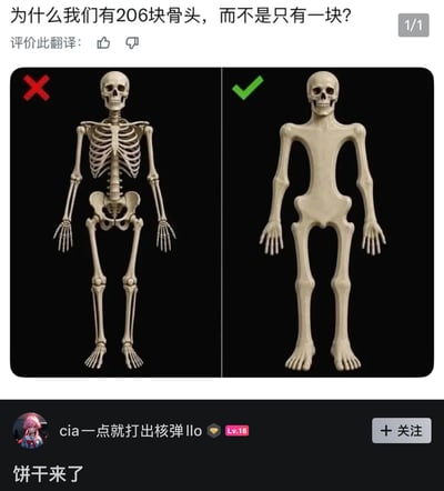 这是一张网络搞笑梗图，顶部首先提出脑洞问题「为什么我们有206块骨头，而不是只有一块？」，下方采用左右对比的形式：左侧是结构正常、由多块骨骼组成的人体骷髅示意图，左上角标注红色叉号代表错误选项；右侧是一整块一体成型、没有分块的人形骨骼示意图，左上角标注绿色对号代表符合问题假设的情况。图的底部是社区用户的评论「饼干来了」，结合标题玩了双关梗：一方面调侃如果人类是一整块骨头，生育时难以通过产道，另一方面也暗合一整块硬骨架类似硬饼干，食用时会拉嗓子的笑点。