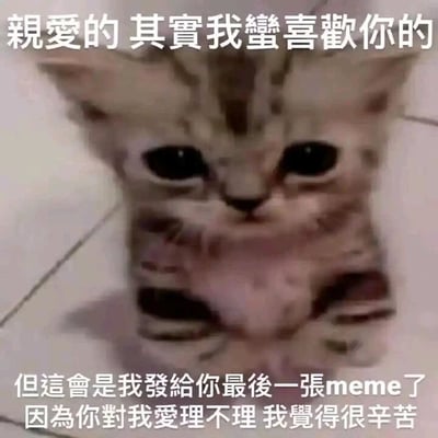 这是一张文字加注的静态表情素材图，主体是一只神态委屈、眼睛大而湿润的小猫，小猫的身体部分呈现模糊变形的状态，进一步烘托出低落的氛围。图中配有两段文字，上方文字为“亲爱的，其实我蛮喜欢你的”，下方文字为“但这会是我发给你最后一张meme了，因为你对我爱理不理，我觉得很辛苦”。整体内容以小猫的委屈形象为载体，精准传达出在一段单向投入的关系中，因为始终得不到对方回应，内心满是疲惫与委屈，最终决定放下这份心意的复杂情绪，常被用于社交平台向在意却忽视自己的人抒发内心感受。