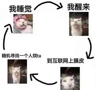 这是一张循环流程图，通过四个板块展示猫咪的摆烂日常：左上角「我睡觉」配戴着粉色帽子闭眼张嘴的白猫；右上角「我醒来」配睁眼正视的白猫；右下角「到互联网上臊皮」配吐舌歪头的白猫；左下角「随机寻找一个人烦ta」配抬头看人的白猫，四者通过黑色箭头形成闭环，幽默呈现猫咪从睡觉到醒来后上网捣乱再找人烦的循环状态。