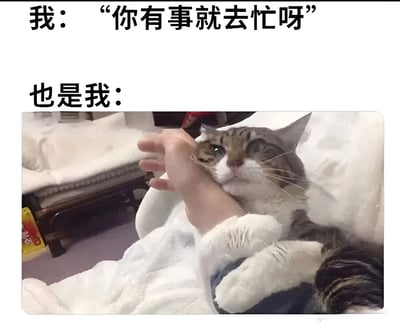 图片上方配有文字“我：‘你有事就去忙呀’ 也是我：”，下方是一张实拍照片：一只猫正紧紧抱着人的手，眼神中带着依恋，仿佛舍不得对方离开。通过文字与猫咪行为的对比，幽默地展现了人们嘴上说着让对方去忙，内心却舍不得分离的口是心非状态，十分贴近日常生活中的小矛盾场景。