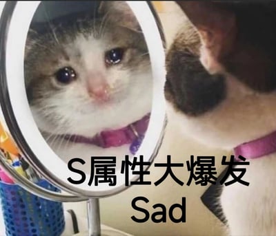 暂无描述