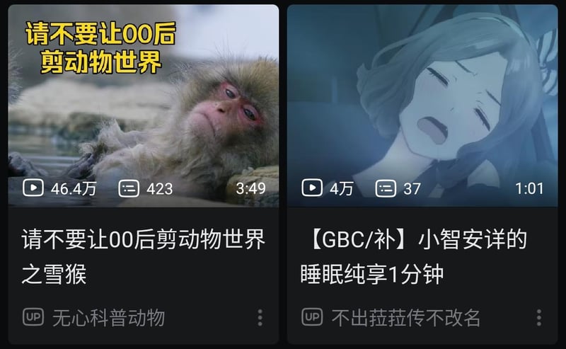 小智