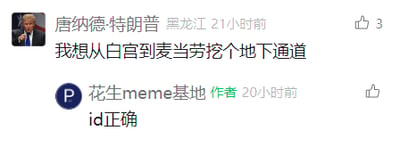 这是一张国内社交媒体平台的截图，呈现了一段趣味玩梗的互动内容。一位昵称使用“唐纳德·特朗普”、所在地标注为黑龙江的用户发布了一条荒诞的评论：“我想从白宫到麦当劳挖个地下通道”，该评论收获3个点赞；账号“花生meme基地”作为作者回复“id正确”，呼应了用户借用特朗普名义玩梗的行为，整体内容通过离谱的想法和默契的回复制造出轻松搞笑的氛围，属于典型的meme类社交互动内容。