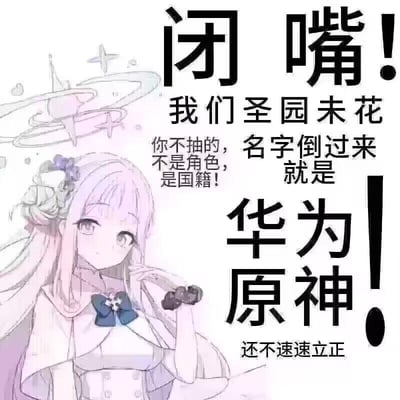 这是一张面向二次元游戏玩家的抽卡催氪梗图，画面左侧是手游《蔚蓝档案》中的角色圣园未花，她有着浅粉色长发，头戴精致的花朵发饰，身着带有深蓝色领结的白色制服，手持类似通讯设备的物品，表情平静温和。画面右侧搭配醒目的加粗大字文案，通过角色名字的倒读玩谐音梗：将“圣园未花”倒过来读的发音近似“华为原神”，文案用夸张强硬的语气调侃：“闭嘴！我们圣园未花 你不抽的，不是角色，是国籍！名字倒过来就是 华为！原神！还不速速立正”，以玩笑式的“道德绑架”姿态催促玩家抽取该角色，结合知名品牌与热门游戏制造反差感，让催氪的内容变得搞笑戏谑。