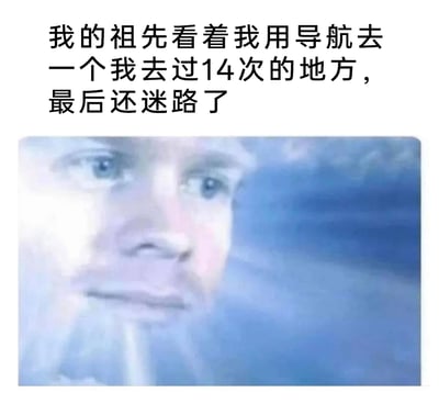 这是一张图文混排的搞笑表情包，上方配有自嘲文字“我的祖先看着我用导航去一个我去过14次的地方，最后还迷路了”，下方是一张模糊的、表情凝重无奈的人脸，模拟祖先的视角凝视着做出离谱行为的自己。该图用夸张的方式放大了路痴的尴尬：即便去过14次的熟悉地点，依赖导航仍会迷路，这种反差感结合“祖先凝视”的画面，将无语又好笑的情绪拉满，适合在社交平台分享，引发同类路痴人群的共鸣。