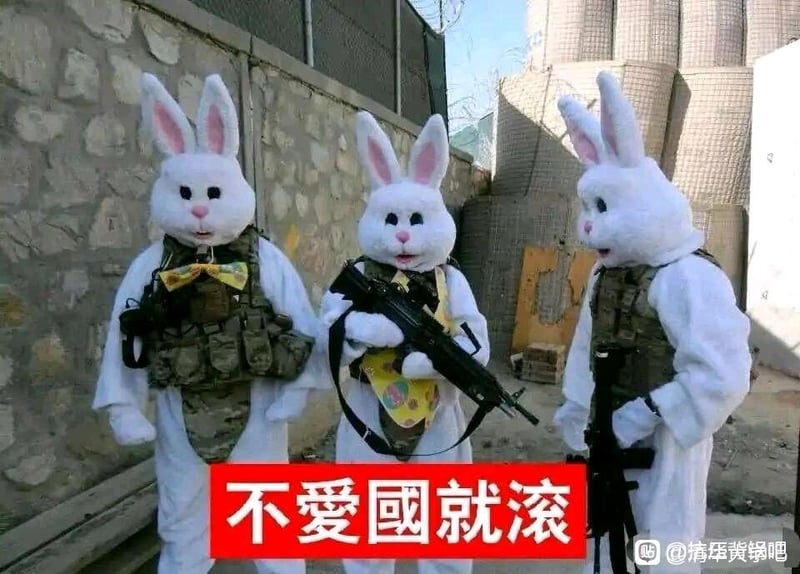 武装兔子