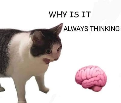 图片左侧是一只黑白相间的猫，嘴巴微张，表情疑惑又带点惊讶，正扭头看向右侧的粉色大脑插图。图片上方有英文文字“WHY IS IT ALWAYS THINKING”（为什么它总在思考）。通过猫的拟人化疑惑表情与大脑的组合，幽默地表现出仿佛猫在困惑大脑为何总是处于思考状态的场景。