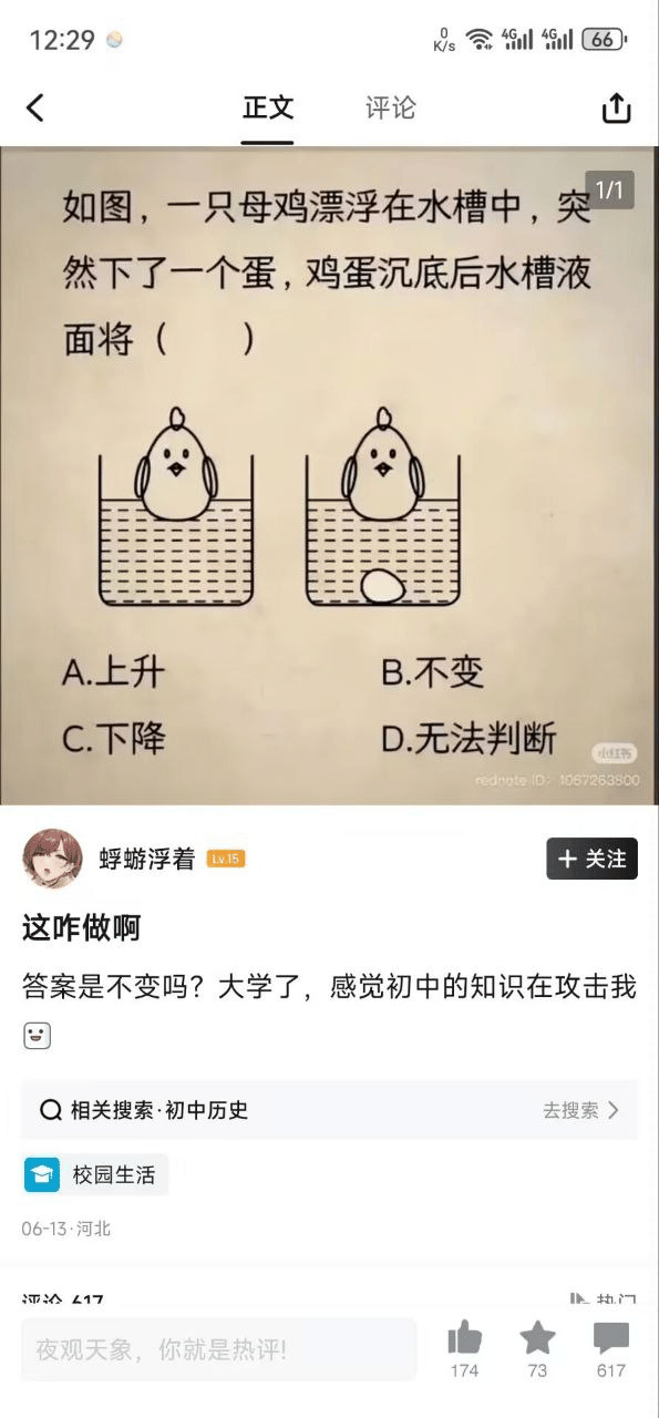 母鸡