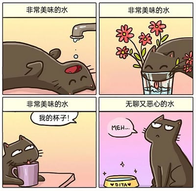 这是一幅四格卡通漫画，生动展现了名为DITA的黑猫的迷惑喝水偏好：第一格中，黑猫一脸满足地接喝水龙头滴落的水，上方配文“非常美味的水”；第二格，黑猫从插着鲜花的玻璃杯中舔水饮用，同样标注“非常美味的水”；第三格，黑猫正用主人的杯子喝水，此时传来主人的呼喊“我的杯子！”，配文依旧是“非常美味的水”；第四格，黑猫看着自己专属的、印着名字“DITA”的水碗，一脸嫌弃，配文“无聊又恶心的水”，还吐出“MEH...”的语气词，表现出对自己水碗里的水毫无兴趣，精准还原了现实中猫咪偏爱“非常规水源”的可爱反差。