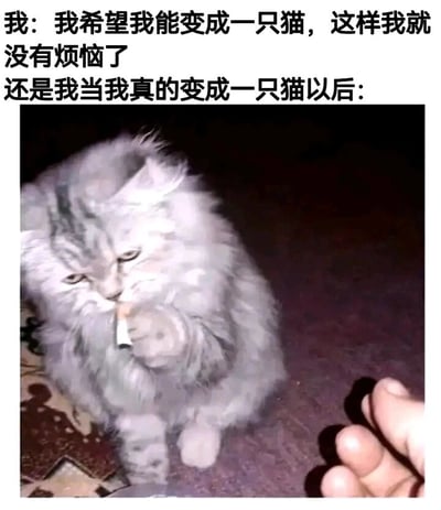 暂无描述