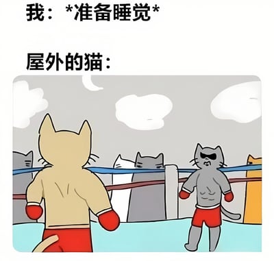 这张梗图用幽默的方式展现了人们准备睡觉时被外界打扰的场景。上方文字写着"我：*准备睡觉* 屋外的猫："，下方则是一幅卡通插画，描绘了一个拳击场，里面有几只猫穿着拳击服、戴着拳击手套，似乎正在进行激烈的拳击比赛。黄色的猫背对着观众，而对面的灰色猫戴着墨镜，露出严肃的表情，周围还有其他猫在围观。背景是夜晚的天空，有月亮和云朵。这种夸张的对比生动地表现了人们想睡觉时却被噪音（这里比喻成猫的拳击赛）打扰的无奈和搞笑情景。