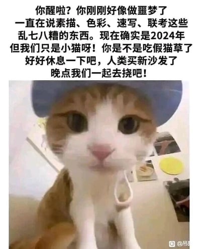 这是一张顶配底文图，画面主体是一只戴着蓝色帽子的可爱猫咪，它眼神懵懂柔和，前爪搭在身前安静坐着。图上方配有一段以猫咪视角说出的文字，模拟猫咪叫醒“你”的场景：调侃“你”刚刚做了关于艺考的噩梦，一直在念叨素描、色彩、速写、联考这些艺考相关内容，告诉“你”现在是2024年，“我们”只是小猫，还调侃“你”是不是吃了假猫草，最后安慰“你”好好休息，并邀请“你”晚点一起去挠人类新买的沙发。这张图用宠物的可爱视角，以轻松搞笑的方式消解艺考带来的压力，让有过艺考经历或正在备考的人产生共鸣，获得治愈感。