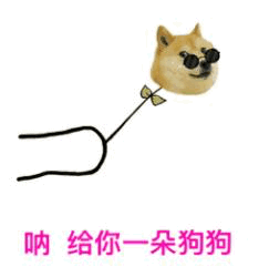 戴墨镜柴犬头变花朵：呐给你一朵狗狗狗