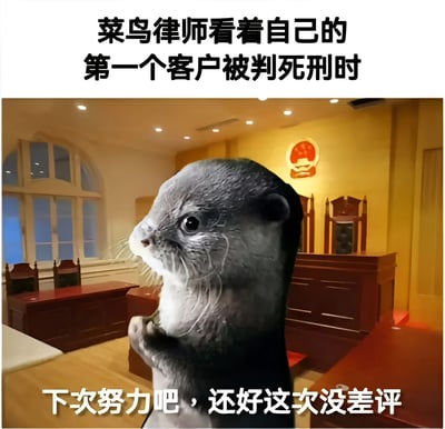 图片上方有文字"菜鸟律师看着自己的第一个客户被判死刑时"，中间是一只站立的水獭，表情震惊地看着前方，背景是法庭场景，有法官席和徽章。图片下方有文字"下次努力吧，还好这次没差评"。这是一个幽默梗图，通过将水獭的脸P到律师身上，结合法庭场景和反差强烈的文字，形成搞笑效果。