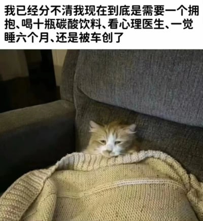 这是一张图文混排的静态表情包，上方配有一段直白抒发极端低落情绪的文字：“我已经分不清我现在到底是需要一个拥抱、喝十瓶碳酸饮料、看心理医生、一觉睡六个月、还是被车创了”，文字用夸张且带有自嘲的选项，表达出当事人在生活压力下精神濒临崩溃、情绪无从排解的状态；下方是一张真实的猫咪照片，一只黄白相间的长毛猫趴在深灰色布艺沙发上，身体被米色针织毯子盖住，仅露出头部，它眼神涣散、眼皮半耷拉着，表情萎靡不振，整只猫的状态和上方文字传递的疲惫、消极、对生活失去动力的情绪完美呼应，精准戳中当代人在面对生活、工作压力时产生的精神内耗和无力感，常被用于社交平台抒发负面情绪。