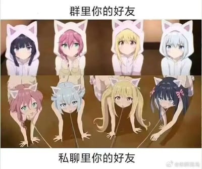 图片通过上下对比的形式展现了“群里你的好友”与“私聊里你的好友”的反差。上半部分是四位穿着猫耳连帽衫的动漫女孩，表情平静，姿态端正，呈现出在群聊中较为拘谨、正式的状态；下半部分则是四位同样带有猫耳元素的动漫女孩，姿态更为活泼俏皮，有的爬行、有的探头，展现出在私聊中放松、真实的一面。整体用幽默的方式调侃了好友在不同聊天场景下的形象差异。