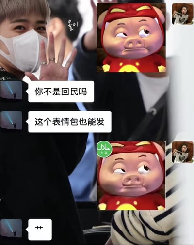 这是一段趣味聊天记录截图，对话中一方以对方是回民的身份，质疑其发送猪猪侠表情包的行为，另一方则机智地将猪猪侠表情包P上“清真”标识回应，用玩梗的方式巧妙化解了与民族文化习俗相关的小尴尬，充满搞笑趣味。