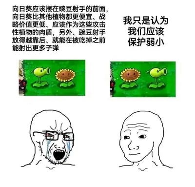 这是一张左右分栏的对比梗图，左侧呈现了《植物大战僵尸》玩家的理性战术逻辑：认为向日葵作为生产阳光的辅助植物，价格低廉、战略优先级低于攻击型的豌豆射手，应该放在前方充当肉盾，让豌豆射手在后方最大化输出，下方搭配崩溃哭泣、愤怒嘶吼的Wojak表情包，表现出对这种战术逻辑被否定的强烈情绪；右侧则从感性角度出发，提出“保护弱小”的理念，将向日葵放在豌豆射手前方进行保护，下方搭配面无表情的Wojak头像，形成理性战术思维与感性价值选择的鲜明反差，通过游戏摆位的冲突制造出荒诞搞笑的效果，调侃了不同思维模式之间的矛盾。