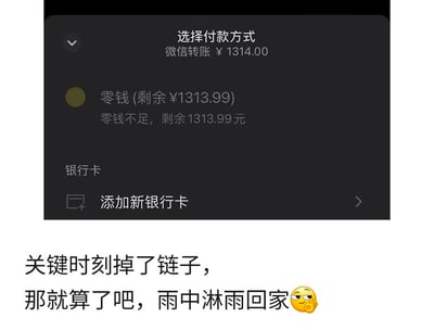 这是一张图文混排的静态搞笑梗图，上方为微信付款选择界面的截图：用户想要转出寓意为“一生一世”的1314元微信转账，但是微信零钱余额只有1313.99元，刚好差0.01元不足以支付；下方搭配文字“关键时刻掉了链子，那就算了吧，雨中淋雨回家”，还配了一个带有无奈调侃感的小黄脸表情，整体用来调侃在想要传递心意的关键时刻差了一点点、最终只能放弃的尴尬处境，很有戏谑感。