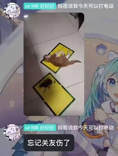 这是一张结合真实场景与游戏梗的社交媒体合成梗图：中间是真实拍摄的画面，一只猫咪四脚朝天被粘在粘鼠板上，下方的粘鼠板还粘着一只老鼠，看起来仿佛猫咪和老鼠都“中招”。图的上下添加了社交平台用户“LV 100 好好好 妈祖说我今天可以打电动”的标识，底部配文“忘记关友伤了”，用游戏里的“友伤（队友伤害）”梗来调侃猫咪的处境，把粘鼠板的意外场景类比成游戏中忘记关闭队友伤害导致“队友”被误伤，充满趣味和搞笑感。背景还搭配了VOCALOID角色初音未来的卡通形象，让画面更具网感。