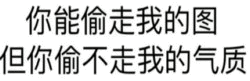 你能偷走我的图 但你偷不走我的气质