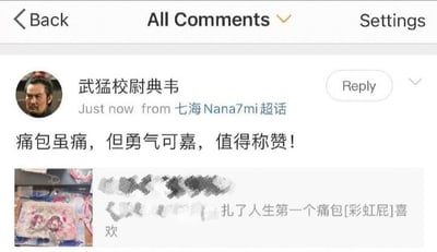 社交媒体评论区截图，用户“武猛校尉典韦”在“七海Nana7mi超话”发布最新评论：“痛包虽痛，但勇气可嘉，值得称赞！”。评论下方附带一张图片，显示一个装饰有动漫元素的痛包，图片中文字提及“扎了人生第一个痛包[彩虹屁]喜欢”。界面顶部有“All Comments”标题及“Back”“Settings”按钮，评论右侧有“Reply”回复按钮。