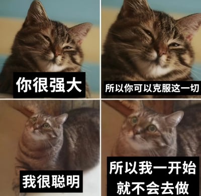 图片为四格拼接的猫咪表情包，通过两组猫咪的表情和文字形成幽默对比。左上格是眯眼微笑的橘猫，配文“你很强大”；右上格同一只橘猫，配文“所以你可以克服这一切”，营造出积极鼓励的氛围。左下格是抬头疑惑的灰猫，配文“我很聪明”；右下格同一只灰猫，配文“所以我一开始就不会去做”，以反差萌的方式调侃了“避免困难”的摆烂心态。整体通过猫咪可爱的表情和接地气的文字，展现了两种面对挑战的不同态度，充满生活幽默感。