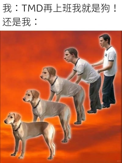 这是一张精准戳中职场打工人心态的吐槽梗图，上方文字分为两部分，第一部分是打工人情绪上头时的气话“我：TMD再上班我就是狗！”，第二部分以“还是我：”引出下方的核心视觉内容。下方是通过PS合成的渐变序列图像，从右到左展示了一个站立的上班族，逐渐弯腰、身体形态向狗转变，最终完全变成一只狗的过程，用极具戏谑的视觉效果，生动形象地表现了打工人嘴上喊着抗拒上班，却不得不向现实妥协、乖乖去上班的无奈又真实的状态，用自嘲的方式抒发了职场人对上班的抗拒和身不由己的情绪，极易引发广大上班族的共鸣。