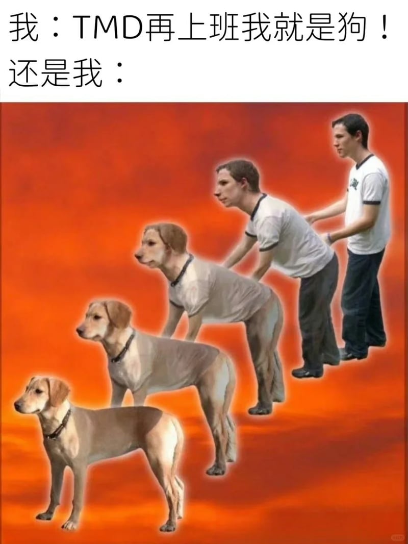 普通职场上班族