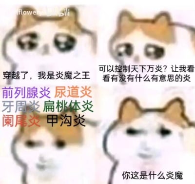 这是一张四格拼接的搞笑表情包，使用了网络流行的模糊手绘橘白猫咪形象，利用“炎魔”的“炎”和“炎症”的“炎”的同字谐音制造笑点。第一格猫咪配文“穿越了，我是炎魔之王”，设定了能操控所有“炎”的魔王身份；第二格猫咪配文“可以控制天下万炎？让我看看有没有什么有意思的炎”，表现出角色的好奇心态；第三格列出了多种名称带“炎”字的人体常见炎症，包括前列腺炎、尿道炎、牙周炎、扁桃体炎、阑尾炎、甲沟炎；第四格猫咪露出嫌弃无语的表情配文“你这是什么炎魔”，通过预期的玄幻设定和现实的疾病名称的反差制造搞笑效果。