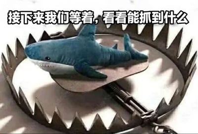 图片中展示了一个蓝色的毛绒鲨鱼玩具，它被放置在一个带有尖锐锯齿的金属捕熊夹上。捕熊夹呈圆形张开状态，鲨鱼玩具则安静地趴在夹子中央的触发板上。图片顶部有一行黑色文字：“接下来我们等着，看看能抓到什么”。整体画面通过可爱的毛绒玩具与危险的捕熊夹形成鲜明反差，营造出一种幽默又略带期待的氛围，仿佛在等待某个意想不到的“猎物”出现。