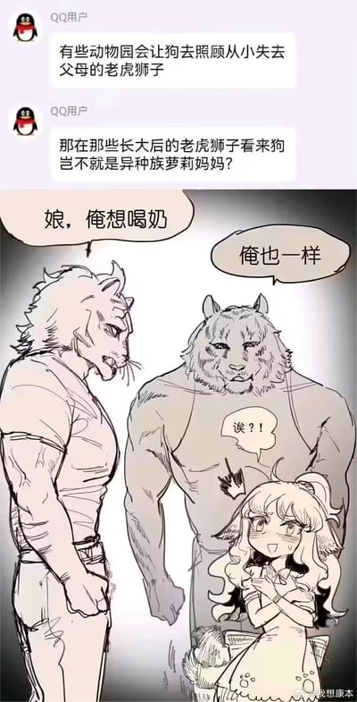 这是一张结合了真实饲养案例的搞笑脑洞漫画，上方是两段QQ聊天内容：第一段提到有些动物园会让狗照顾失去父母的幼崽老虎狮子，第二段则脑洞长大后的老虎狮子会将狗视为异种族萝莉妈妈；下方是拟人化的furry漫画场景，体型壮硕的老虎兽人和狮子兽人对着体型娇小的狗娘化兽人喊“娘，俺想喝奶”“俺也一样”，狗娘化角色则露出震惊慌乱的表情。作品通过体型反差和拟人化的设定，将现实动物行为转化为搞笑的兽人互动，制造出荒诞滑稽的喜剧效果。