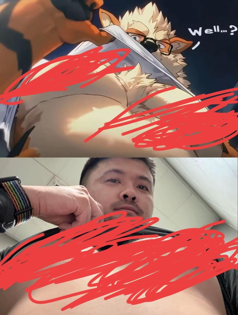 模仿者