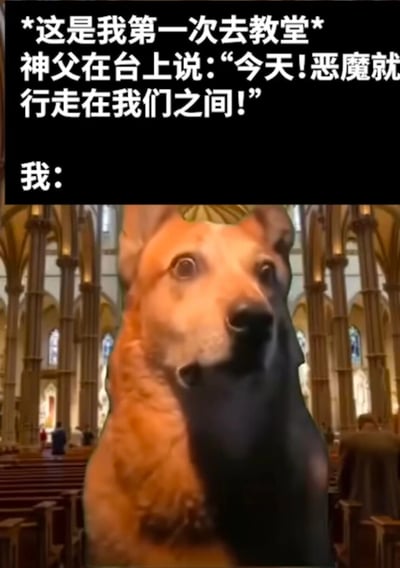 这张梗图分为上下两部分，上半部分是黑色背景的文字说明："*这是我第一次去教堂* 神父在台上说:"今天!恶魔就行走在我们之间!" 我:"。下半部分是一只表情惊讶的狗，它站在教堂的长椅中间，背景是典型的教堂建筑，有高高的拱形窗户和柱子。图片通过拟人化的手法，幽默地表现了当第一次去教堂的人听到神父说恶魔就在众人之间时的反应，用狗的惊讶表情来夸张这种内心的紧张和自我怀疑。