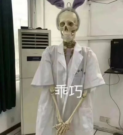 图片中是一具人体骨骼模型，它被装扮成有趣的模样：头戴紫色兔耳朵发箍，身穿印有文字的白色短袖白大褂，双手骨骼自然交叠在身前，站立在室内环境中。背景可见空调、电脑等设备，整体场景像是实验室或教室。模型面部保持着骷髅特有的咧嘴表情，与头上可爱的兔耳朵和身上的白大褂形成强烈反差萌，下方叠加的“乖巧”二字更是增添了幽默效果，让原本严肃的骨骼模型显得诙谐有趣。