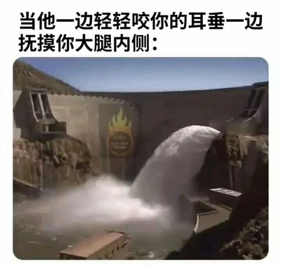 图片上方配有文字“当他一边轻轻咬你的耳垂一边抚摸你大腿内侧：”，下方是一张大坝开闸泄洪、水流汹涌而出的照片。通过将亲密行为与大坝泄洪的强烈视觉效果并置，形成幽默夸张的对比，暗示人在面对亲密接触时难以抑制的强烈生理或心理反应。
